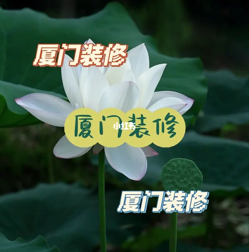 口碑好短信公司哪家成本低_鄭州網(wǎng)絡(luò)推廣公司哪家口碑好_廈門(mén)口碑最好的裝修公司