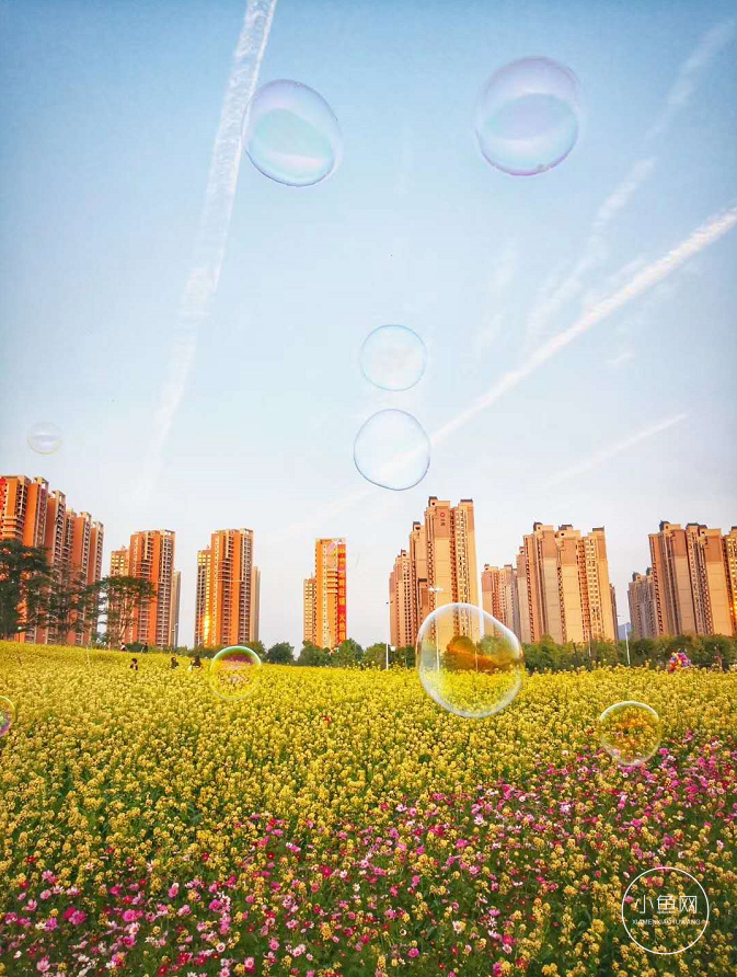 廈門(mén)ktv裝修_廈門(mén)裝修多少錢(qián)一平方_廈門(mén)裝修噪音擾民投訴電話