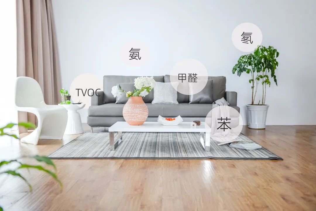 廈門(mén)除甲醛公司十大排名_廈門(mén)裝修除甲醛_廈門(mén)裝修除甲醛公司
